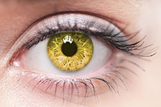 Akupunktur für die Augen in Karlsruhe - Naturheilkundliche Arztpraxis Schleusener